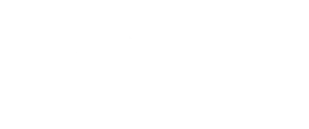 IronYun Vaidio